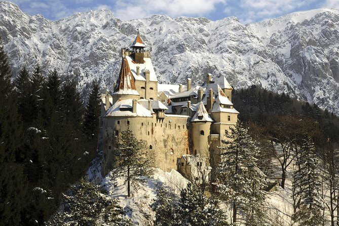 Adventure trip to Transylvania in 3 days from Bucharest - Muntele Tampa Bear Observatory With a Ranger in the Forest