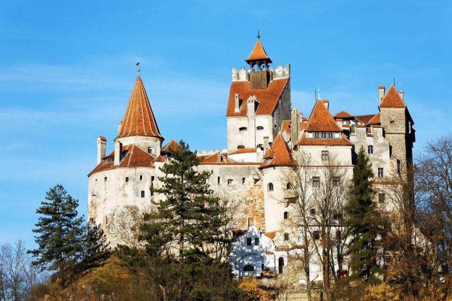 From Bucharest: Libearty Bear Sanctuary and Dracula's Castle - Key Takeaways Before You Go