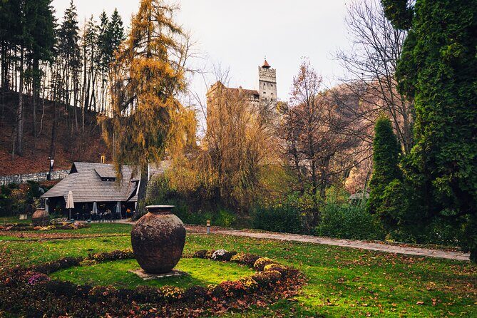 Legends&Wildlife Awaits: Dracula's Castle & Bear Sanctuary - Key Things You’ll Notice on This Trip