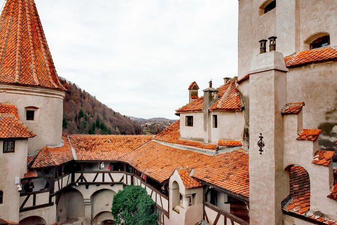 Legends&Wildlife Awaits: Dracula's Castle & Bear Sanctuary - Should You Book This Dracula and Bears Day Trip?
