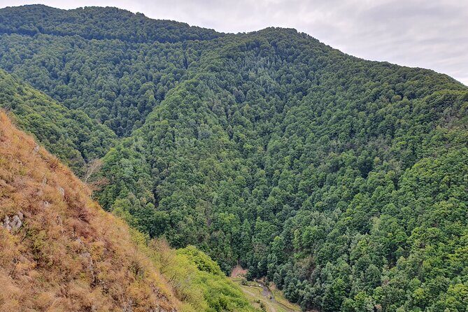 One-Day Vlad the Impaler Royal Court Private Tour from Bucharest - Vidraru Dam on Lake Vidraru: the scenic reset with factual wow