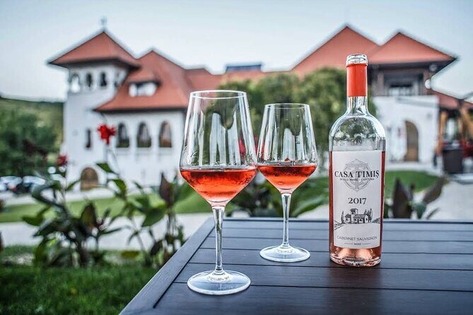Private Wine Tasting in Cellar and the Winemaking process - Key highlights to look for on this wine day
