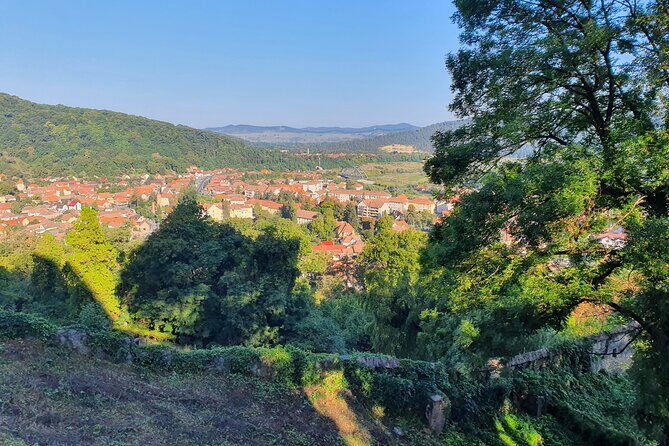 Tour of Bran CASTLE + Peles Castle + Brasov City from Bucharest - Private TOUR - Guides Who Keep It Interesting and Easy