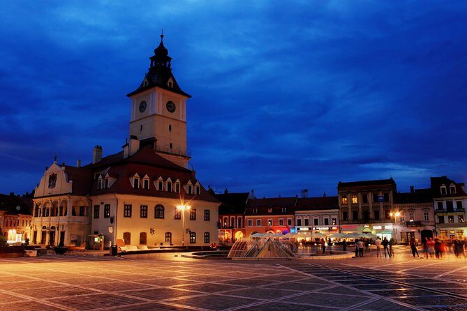 Transylvania with Dracula Castle, Bear Sanctuary and Brasov - Liberty Bear Sanctuary in Zărnești: real rescues and the Teddy Bear Museum twist